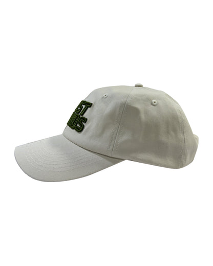 Lost Lands 2024 Dad Hat (Tan) - Excision