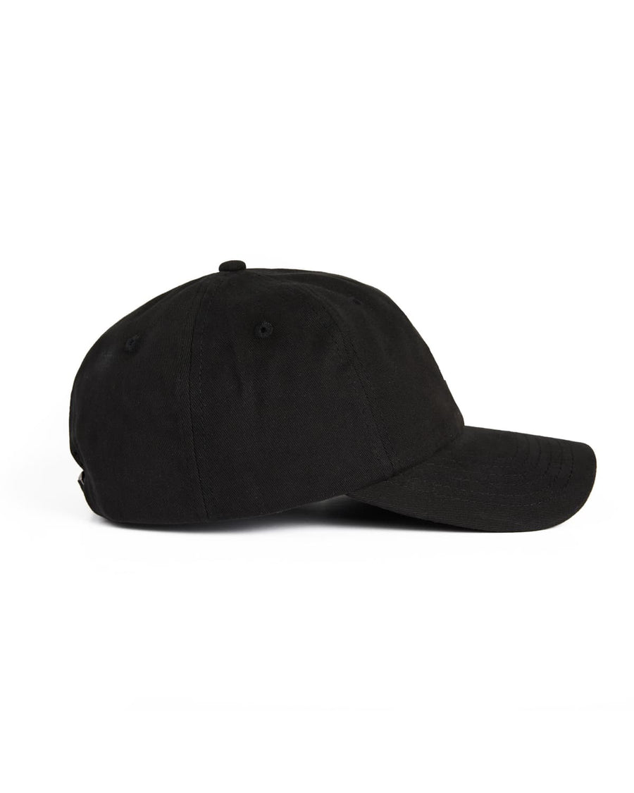Bass Canyon Dad Hat - Black