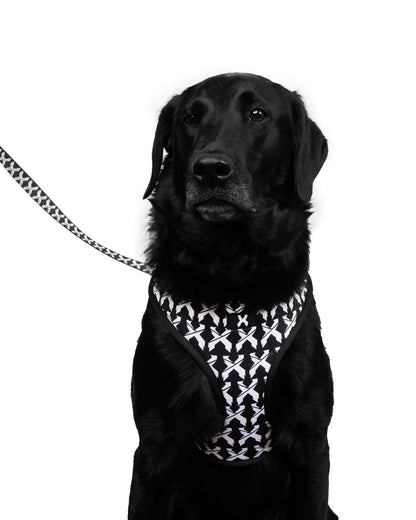 Rex Dog Leash (Black/White) - Excision