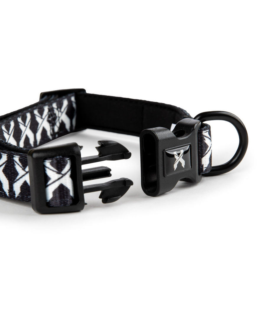 Rex Dog Collar (Black/White)