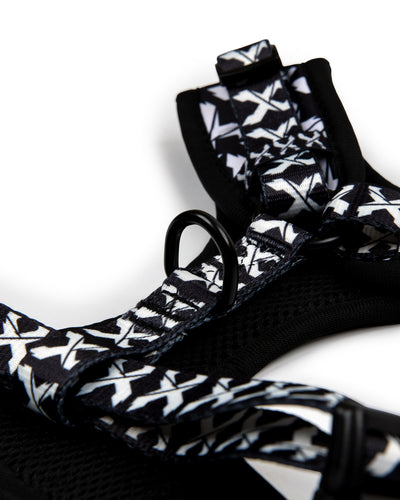 Rex Dog Harness (Black/White) - Excision